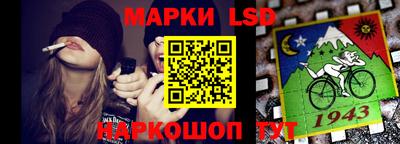 шишки Будённовск
