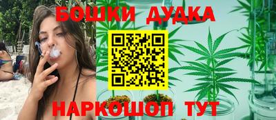 шишки Будённовск