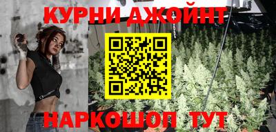 шишки Будённовск